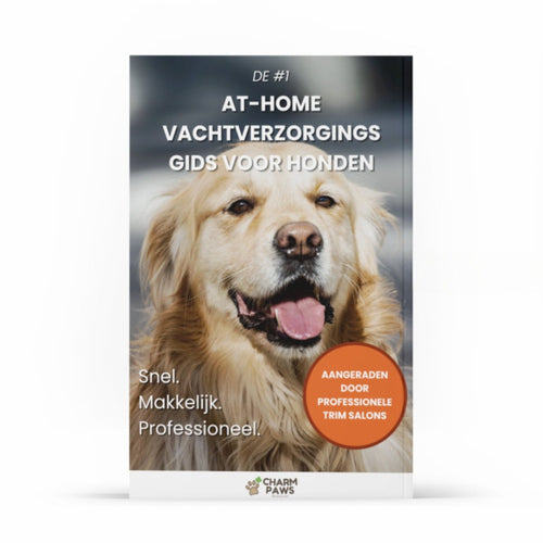 #1 Hemmaguide för Pälsvård av Hundar – E-bok