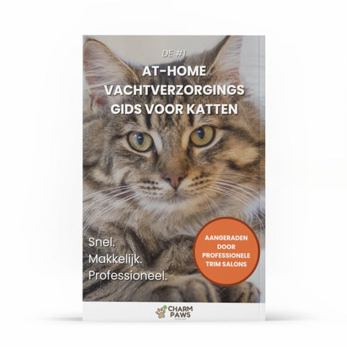 #1 Hemmaguide för Pälsvård av Katter – E-bok